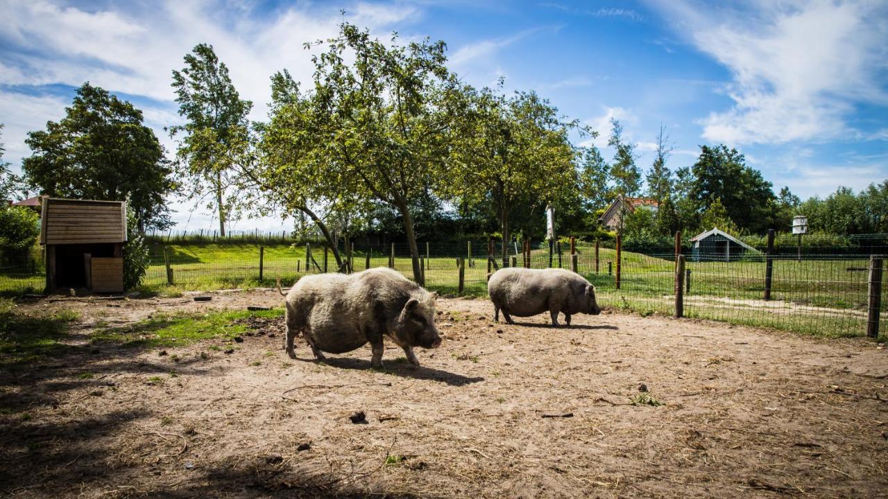 Oranjezon - Vakantiehuizen 2&4 personen Vrouwenpolder Buitenkant foto